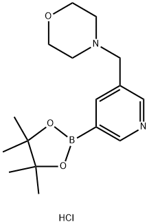 4-((5-(4,4,5,5-四甲基-1,3,2-二氧硼杂环戊烷-2-基)吡啶-3-基)甲基)吗啉盐酸盐, 2377610-96-1, 结构式
