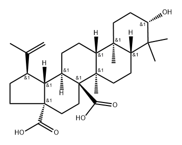 3β-Hydroxylup-20(29)-ene-27,28-dioic acid Structure