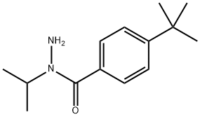 4-(tert-Butyl)-N-isopropylbenzohydrazide Struktur