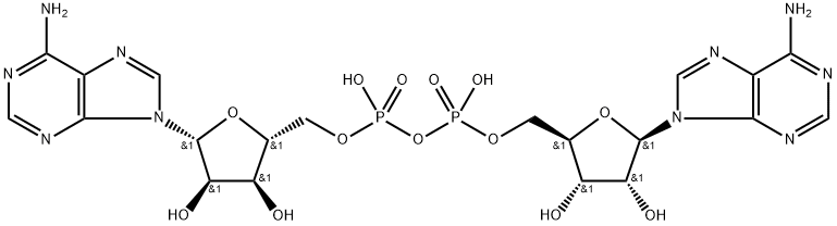 adenosine monophosphate-adenosine 结构式