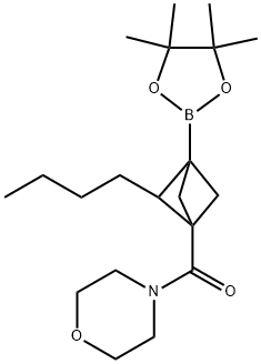 (2-丁基-3-(4,4,5,5-四甲基-1,3,2-二氧杂硼烷-2-基)双环[1.1.1]戊-1-基)(吗啉代)甲酮,2609866-92-2,结构式