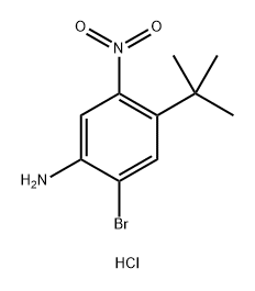 2-bromo-4-tert-butyl-5-nitroaniline hydrochloride 结构式