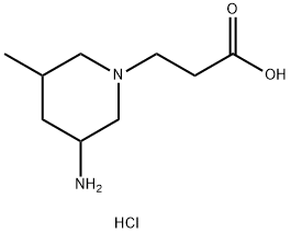 3-(3-amino-5-methylpiperidin-1-yl)propanoic acid dihydrochloride 结构式
