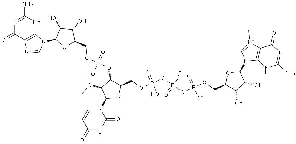 m7GpppUmpG Structure