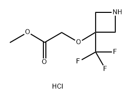 methyl 2-{[3-(trifluoromethyl)azetidin-3-yl]oxy}acetate hydrochloride 结构式