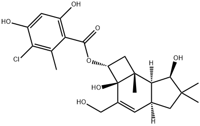 蜜黄酯 M 结构式