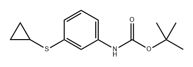 N-[3-(环丙基硫烷基)苯基]氨基甲酸叔丁酯 结构式