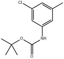 tert-butyl (3-chloro-5-methylphenyl)carbamate Structure