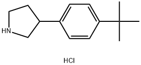 3-[4-(叔丁基)苯基]吡咯烷盐酸盐, 2758004-07-6, 结构式