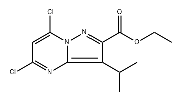 5,7-二氯-3-异丙基吡唑并[1,5-A]嘧啶-2-甲酸乙酯,2760415-25-4,结构式