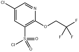 2803476-19-7 5-氯-2-(2,2,2-三氟乙氧基)吡啶-3-磺酰氯