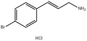 2828433-48-1 Structure