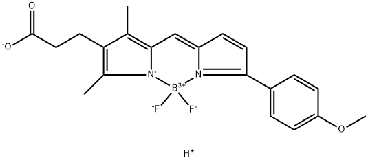 BDP TMR carboxylic acid Struktur