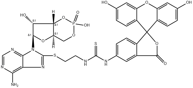 293296-57-8 Adenosine, 8-[[2-[[[(3',6'-dihydroxy-3-oxospiro[isobenzofuran-1(3H),9'-[9H]xanthen]-5-yl)amino]thioxomethyl]amino]ethyl]thio]-, cyclic 3',5'-(hydrogen phosphate)
