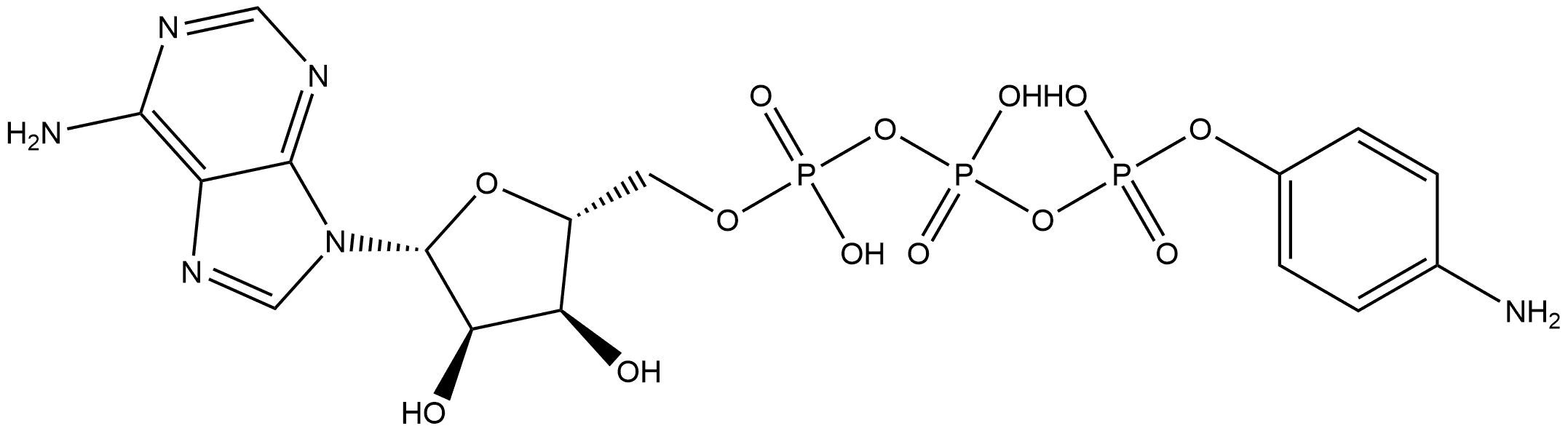 γ-Aminophenyl-ATP Structure
