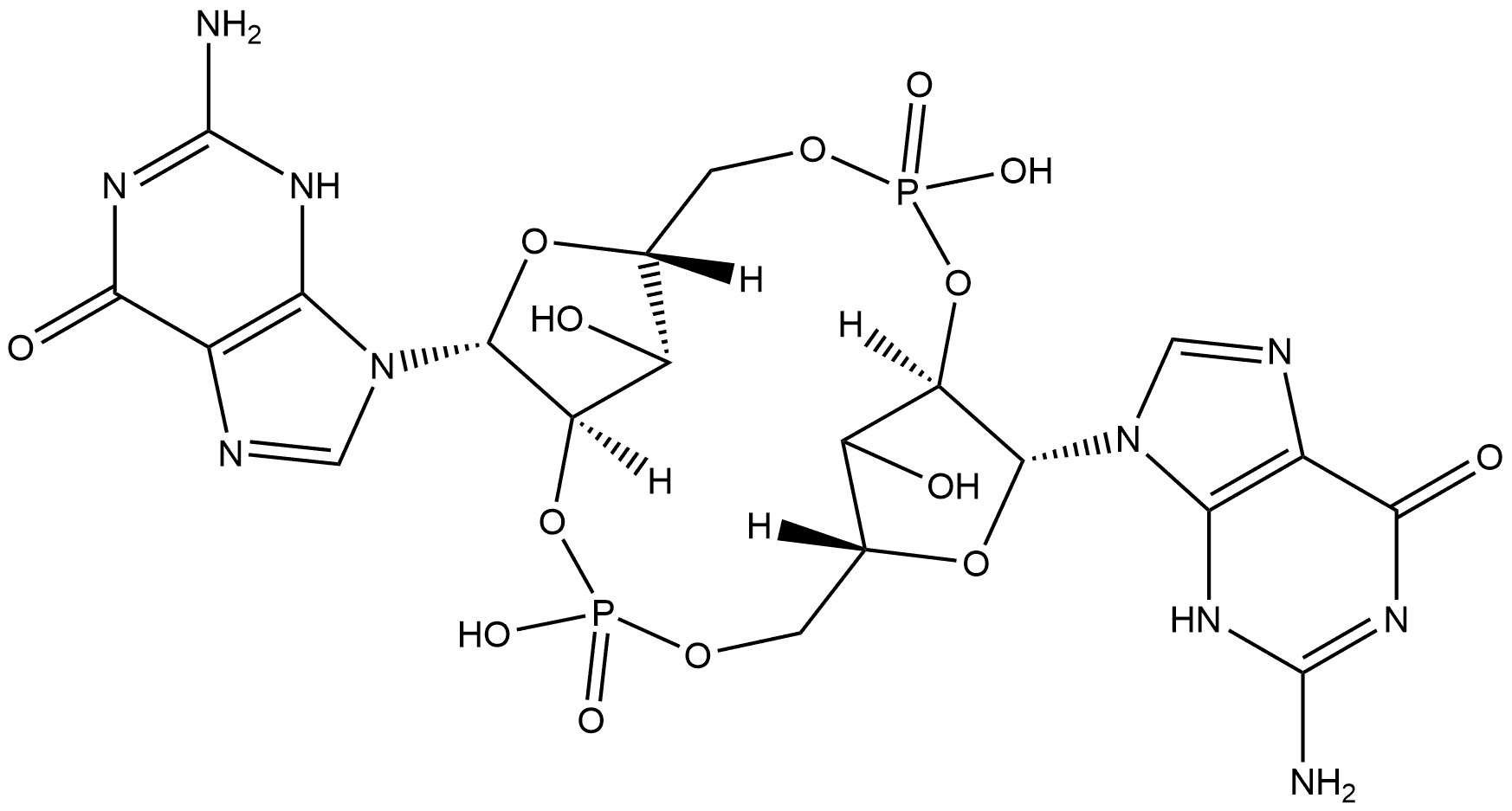 c[G(2',5')pG(2',5')p] Structure