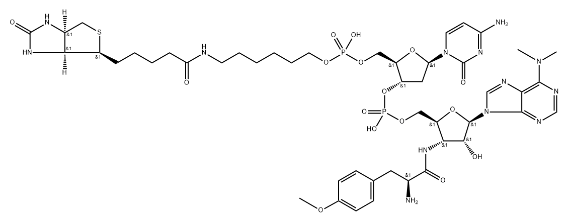 Biotin-dC-puromycin Structure