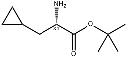 S-环丙基丙氨酸叔丁酯, 457059-27-7, 结构式