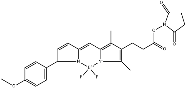 BDP TMR NHS ester,485397-12-4,结构式