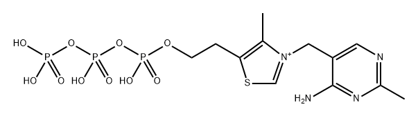 Thiazolium, 3-[(4-amino-2-methyl-5-pyrimidinyl)methyl]-4-methyl-5-(4,6,8,8-trihydroxy-4,6,8-trioxido-3,5,7-trioxa-4,6,8-triphosphaoct-1-yl)- (9CI)