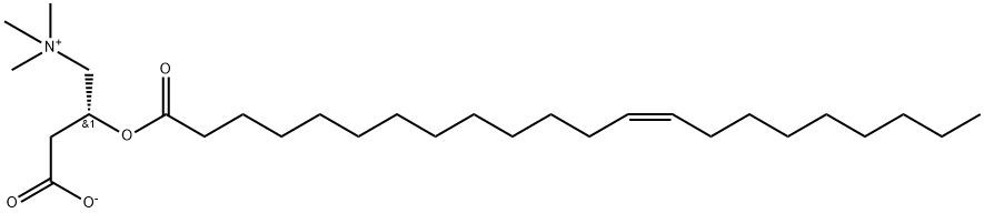 1-Propanaminium, 3-carboxy-N,N,N-trimethyl-2-[(1-oxo-13-docosenyl)oxy]-, inner salt, [R-(Z)]- (9CI)|化合物 T24042