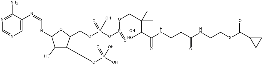 S-cyclopropanecarboxyl-coenzyme A 结构式