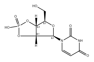 606-02-0 2',3'-cyclic UMP