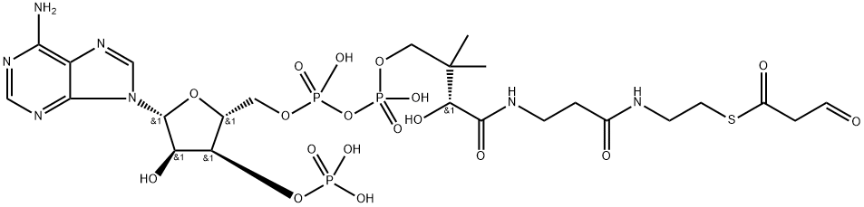 Malonyl-CoA semialdehyde Structure