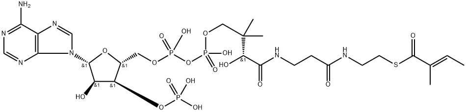 tiglyl-coenzyme A Structure