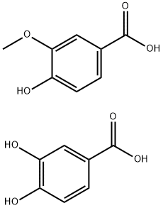 SUPER-DHB Structure