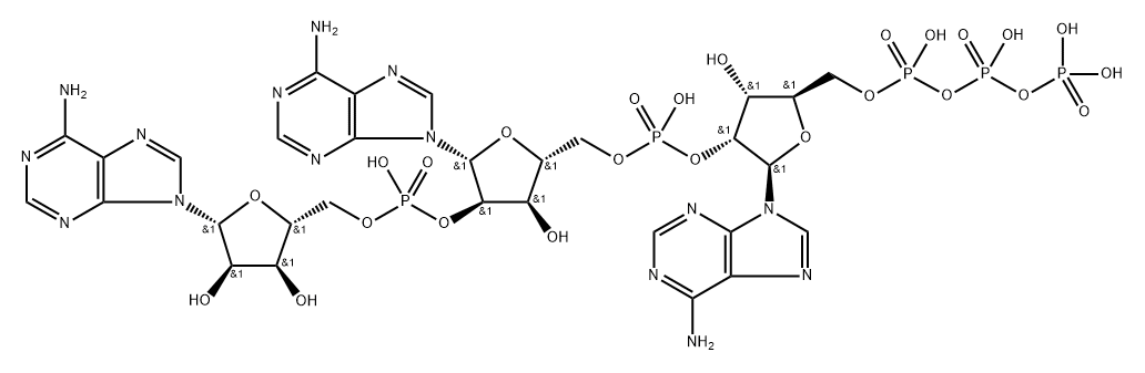 adenosine triphosphate adenosine monophosphate adenosine monophosphate 结构式