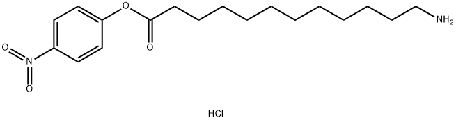 4-nitrophenyl ester -12-amino- Dodecanoic acid, hydrochloride (1:1) Structure