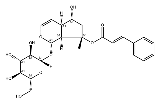 β-D-Glucopyranoside, (1S,4aR,5R,7S,7aS)-1,4a,5,6,7,7a-hexahydro-5-hydroxy-7-methyl-7-[[(2E)-1-oxo-3-phenyl-2-propen-1-yl]oxy]cyclopenta[c]pyran-1-yl|化合物 T32583