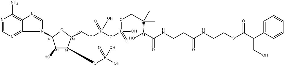 tropoyl-coenzyme A Structure