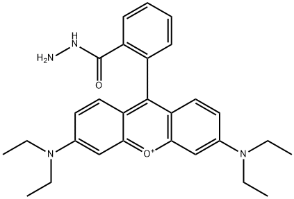 Xanthylium, 3,6-bis(diethylamino)-9-[2-(hydrazinylcarbonyl)phenyl]-