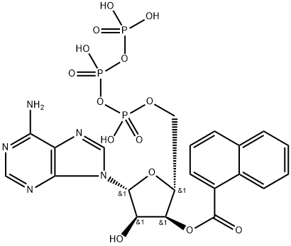 naphthoyl-ATP Structure