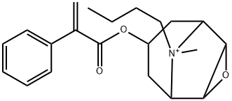 丁溴东莨菪碱杂质07 结构式