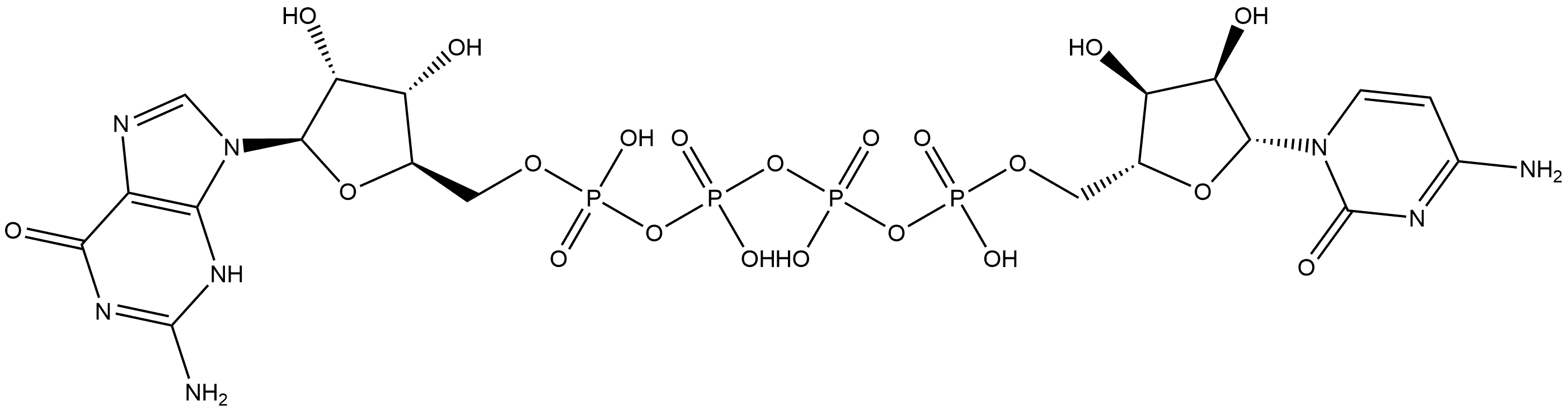 Cp4G Structure