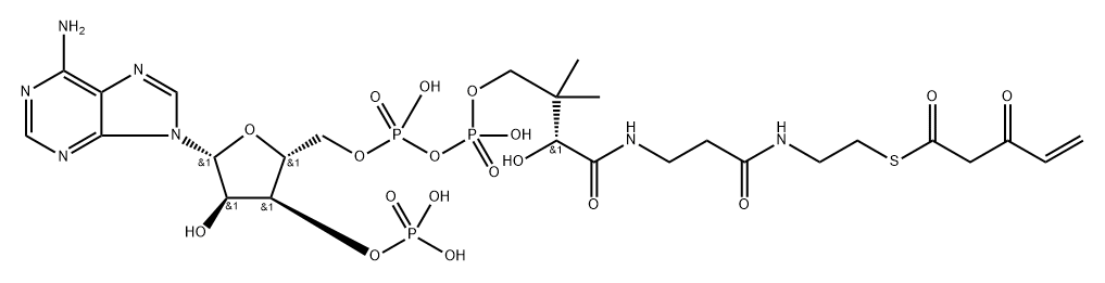 3-keto-4-pentenoyl-coenzyme A 化学構造式