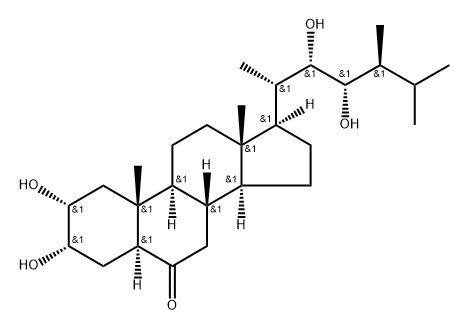 22,23-diepicastasterone Structure