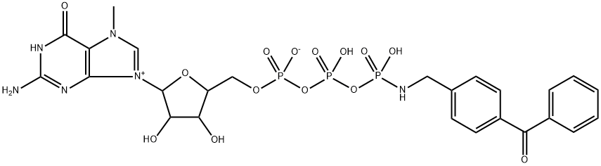 gamma-(4-(benzoylphenyl)methylamido)-7-methylguanosine-5'-triphosphate Structure
