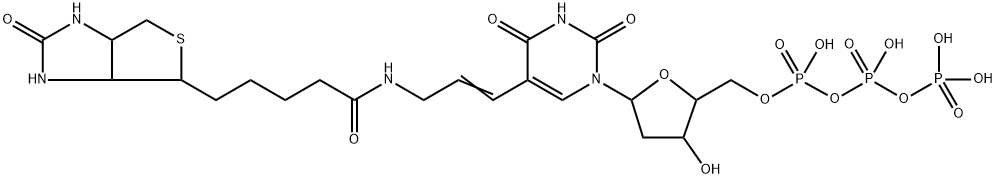 5-(N-(N-biotinyl-epsilon-aminocaproyl)-3-aminoallyl)-2'-deoxuridine 5'-triphosphate 结构式