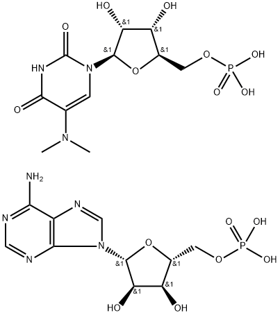 polyriboadenylic acid-polyribo-5-dimethylaminouridylic acid Structure