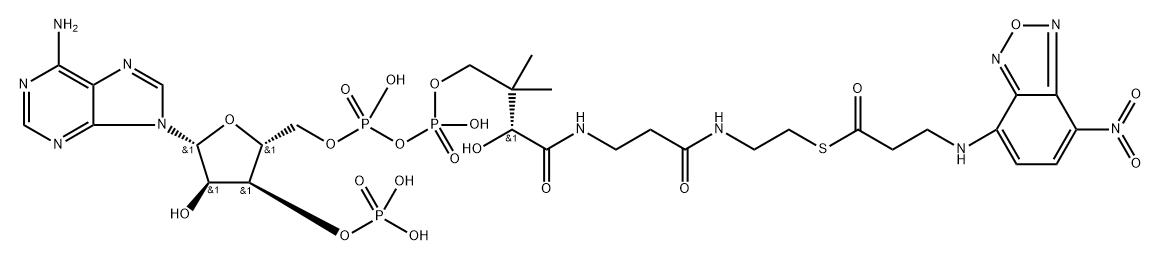beta-(N-(7-nitro-2,1,3-benzoxadiazol-4-yl))alanyl-coenzyme A Struktur