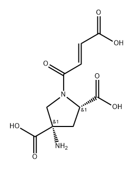 FP-0429 Structure