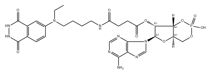 aminobutylethylisoluminol succinyl cyclic AMP Struktur