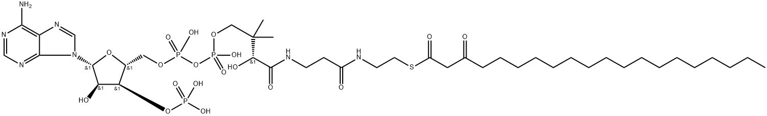 S- (3-oxoeicosanoate) -Coenzyme A Structure