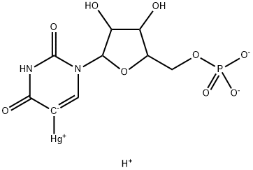 poly-5-mercuriuridylic acid Structure