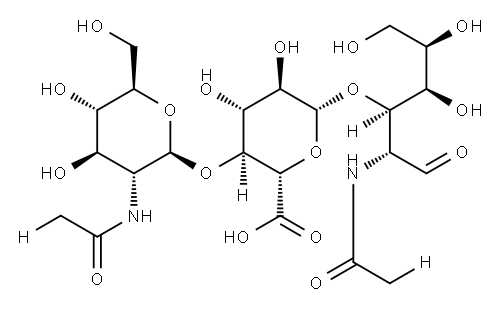 N-acetylglucosaminylglucuronic acid-N-acetylglucosamine Struktur