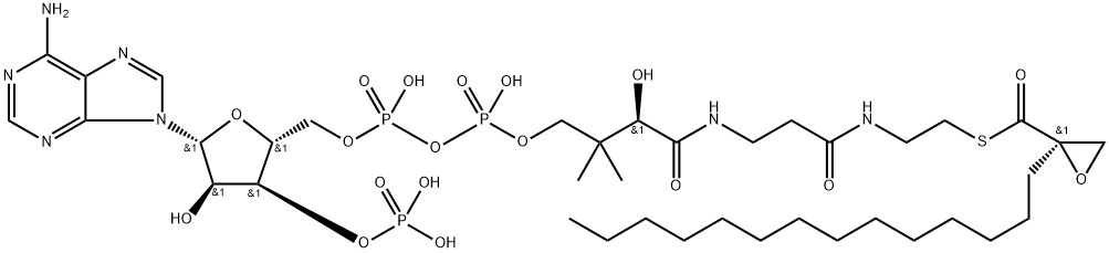 2-tetradecylglycidyl-coenzyme A Struktur